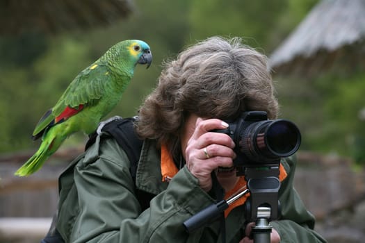 My (photo) friend Antje (digitier) trying to photograph a blue-fronted amazon. But he liked it much better behind the camera than in front of him :-)