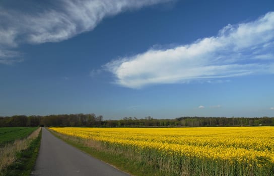 Once again I was on my way to work on our country road......!:-)