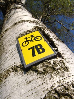 Cycle path marking