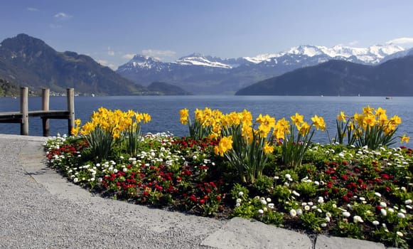 The idyllic village of Weggis is located on the sunny southern flank of the Rigi,directly on the majestic Lake Lucerne and is an ideal starting point for excursions into the mountains or across the lake. On the Rigi,with the car-free resort of Rigi Kaltbad,the He