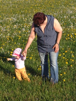 In the flower meadow