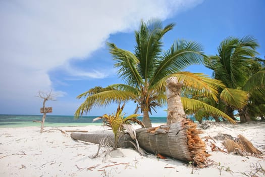 Natural beach