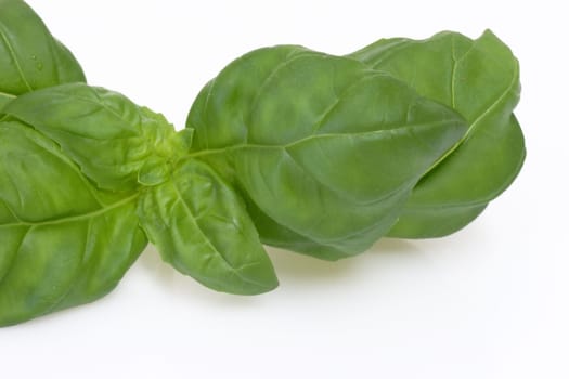 Ingredient