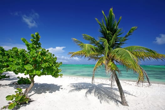 Dream beach