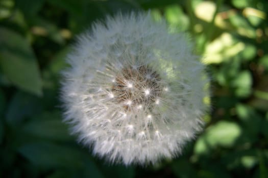 Pustemacro