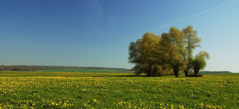 Mecklenburger Land
