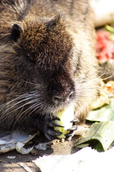 When eating