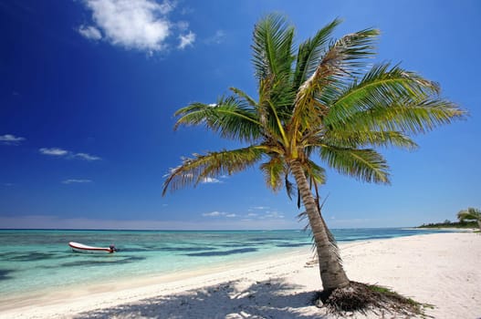 Summer,sun,beach and sea