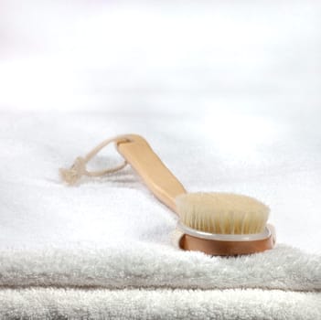Sauna brush