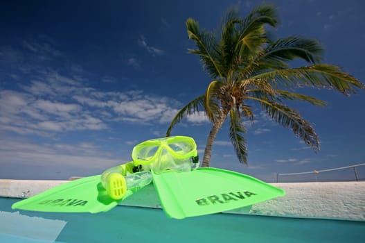 Snorkeling paradise