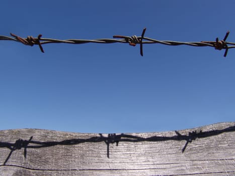 Barbed wire