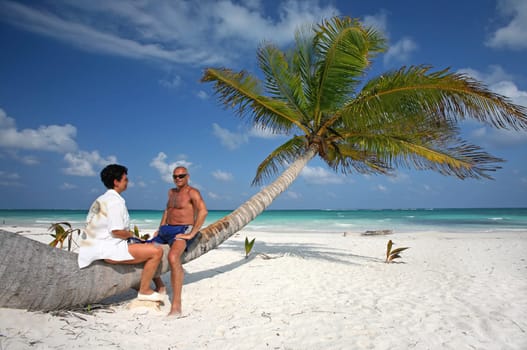 On the palm tree