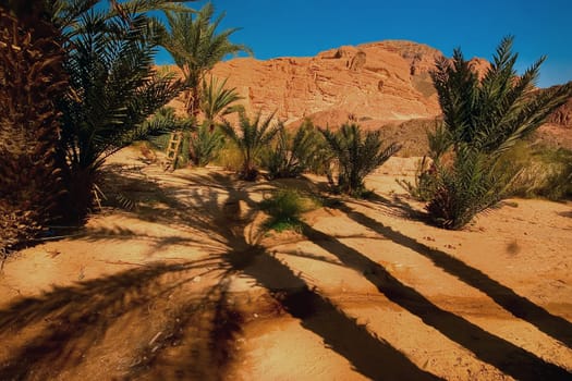 Long shadows