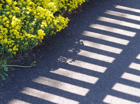 Sidewalk