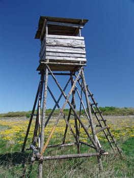 Hunter's seat