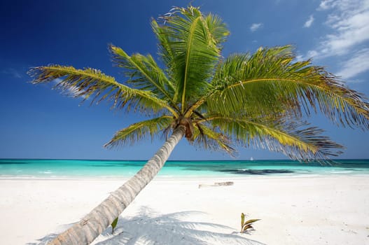 Caribbean