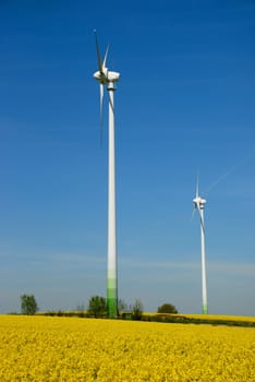 Rapeseed and wind turbines