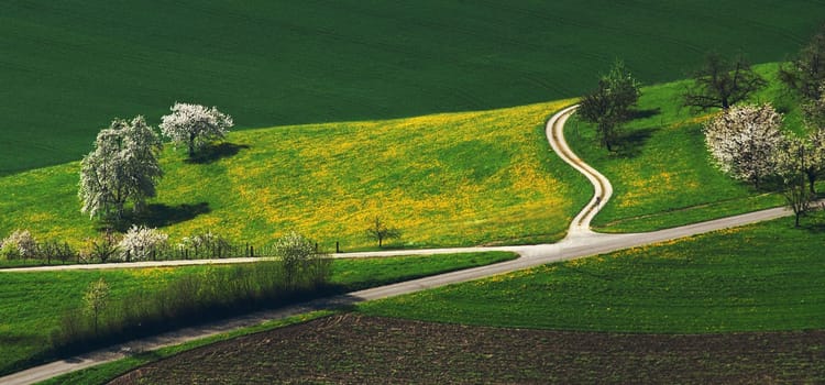 Every path meets a different path somewhere.......!