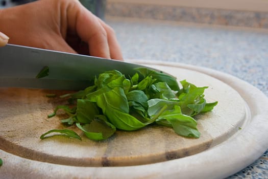 Cutting herbs