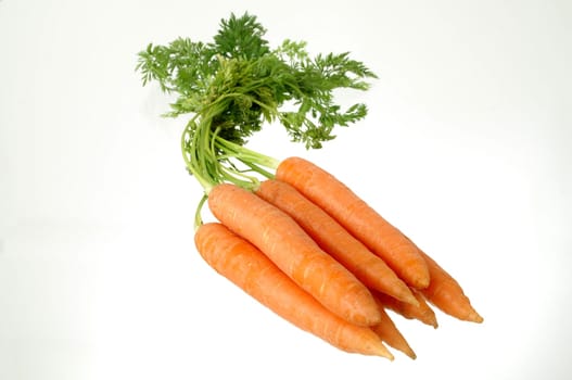 Carrot bunch