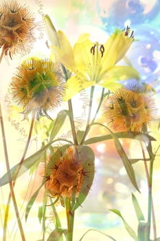 Flower collage,abstract
