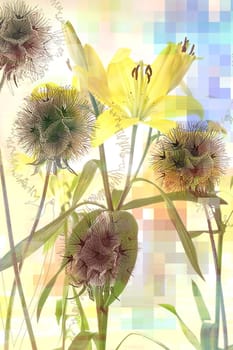 Flower collage,abstract