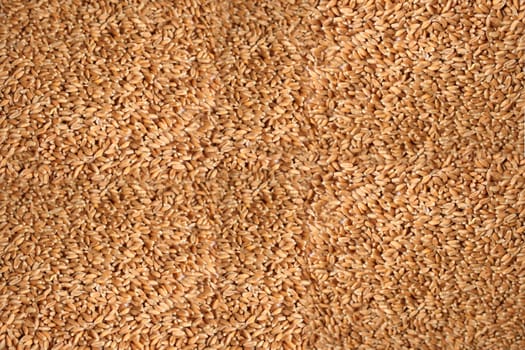 Grain to grain