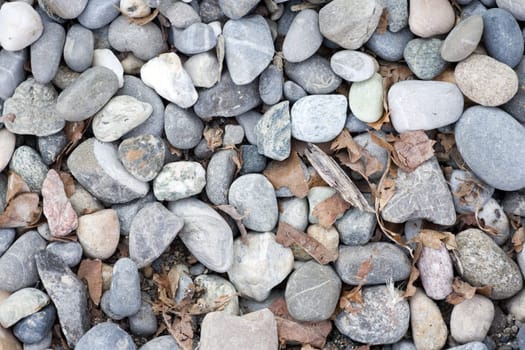 Pebbles with foliage