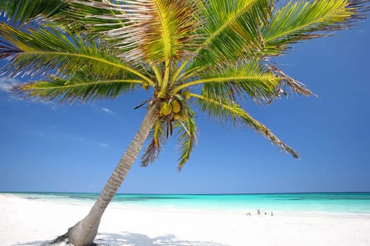 Mexican Caribbean