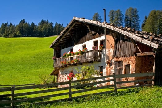farmstead