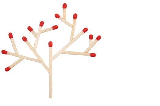 Tree 2 D 1