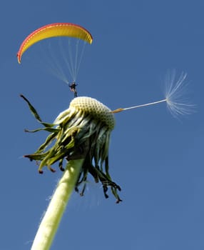 Nature as a teacher