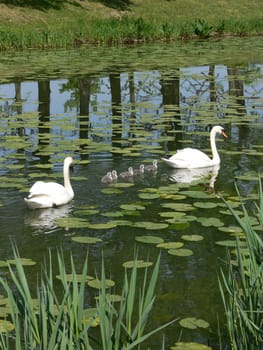 Family excursion