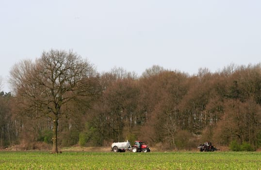 Field work...