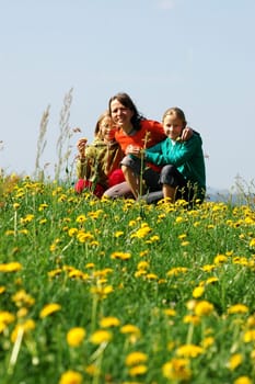 Family in the meadow 2