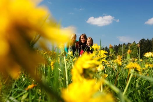 Family in the meadow