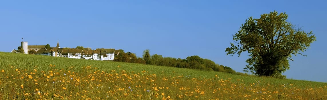 The unique,medieval country town,on top of the eastern flank of the Jura foothills of Lägern,was built in 1244 by the Barons of Regensberg. In 1302,the Regensberg family had to sell their town to the Habsburgs.
