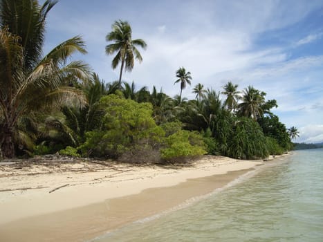 Island Dreams