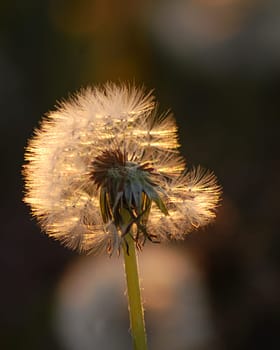 If you want to live properly,you must always remember that we are not standing,but moving,and must not cling to what we leave behind........ Leo Tolstoy