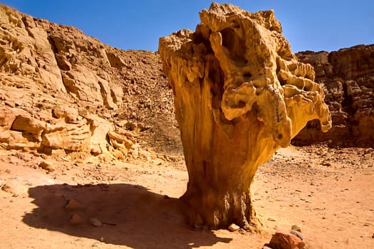 Several such stones or rock formations stand in front of the Colored Canyon,witnesses of a tens of thousands of years of weathering process....