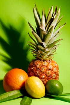 Fruity