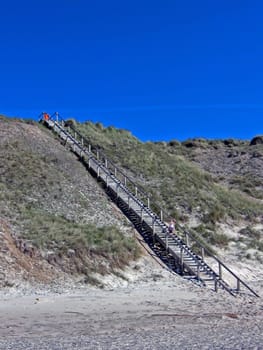 Up to the blue sky