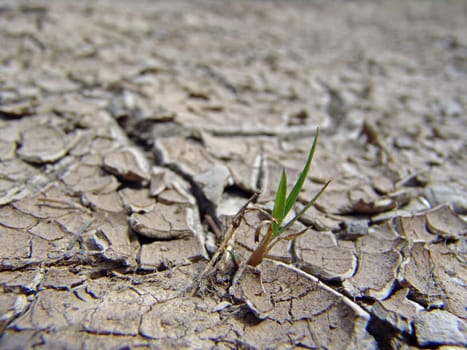Dryness