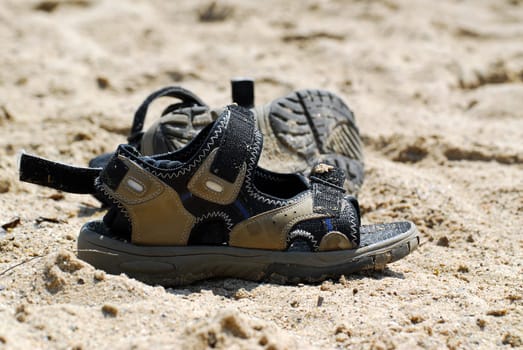 on the beach