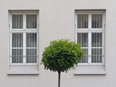 Urban greenery