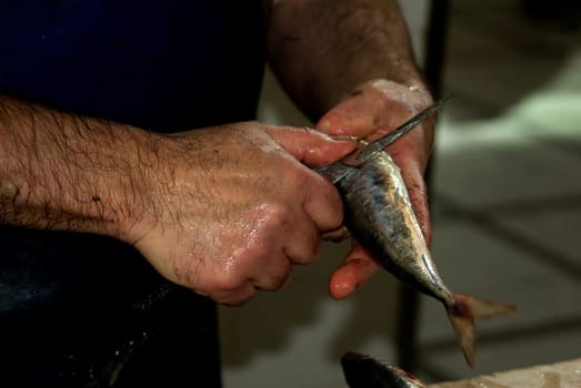 Fisherman