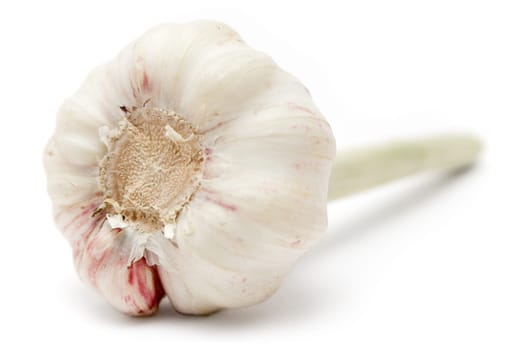 Fresh garlic