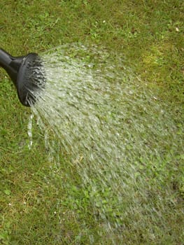 Watering can 02