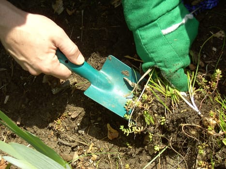 Gardening 03