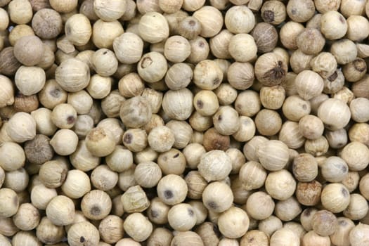 white pepper